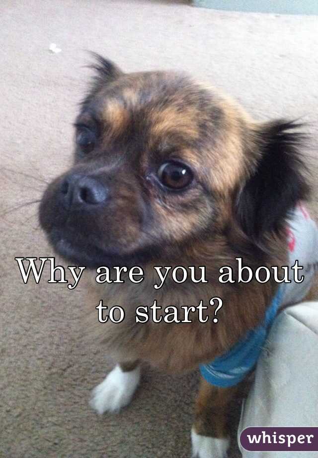 Why are you about to start?