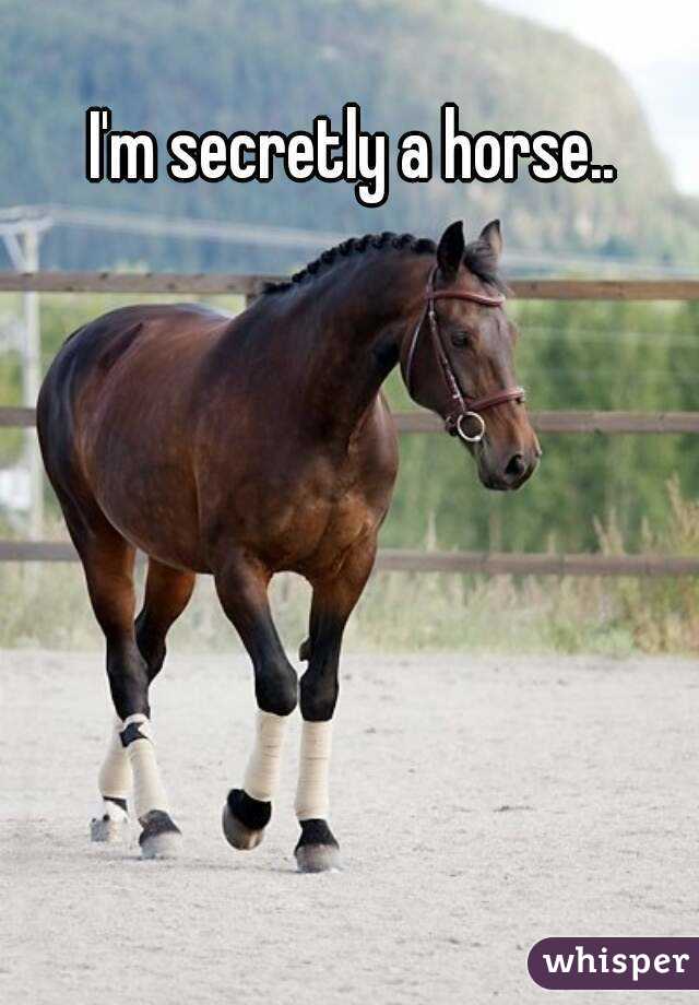 I'm secretly a horse..