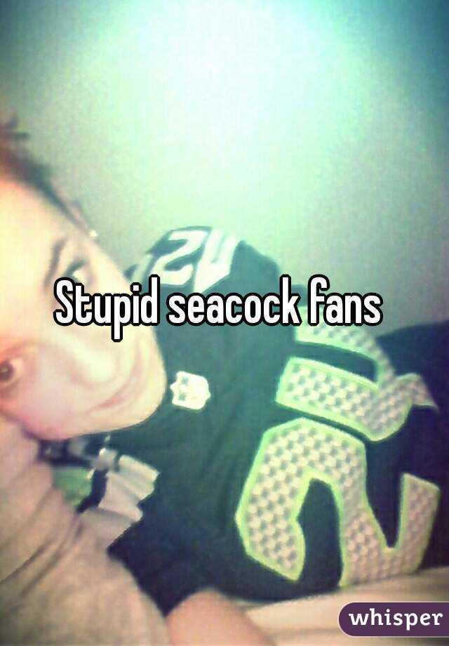 Stupid seacock fans 