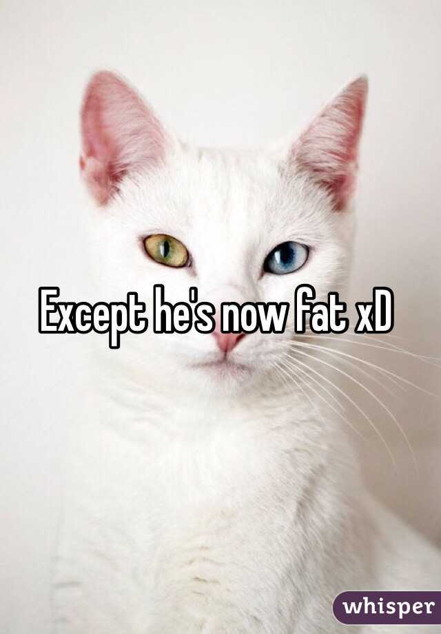 Except he's now fat xD 