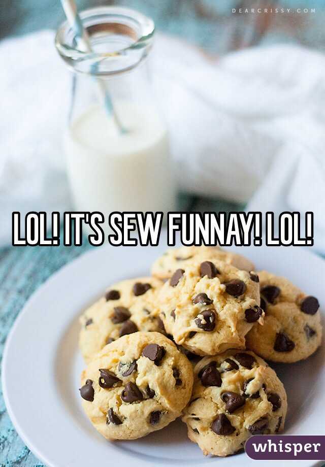 LOL! IT'S SEW FUNNAY! LOL!