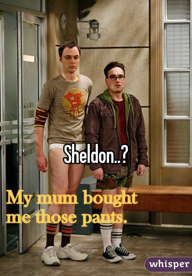 Sheldon..? 