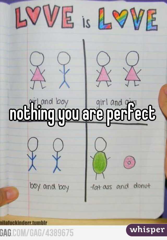 nothing you are perfect