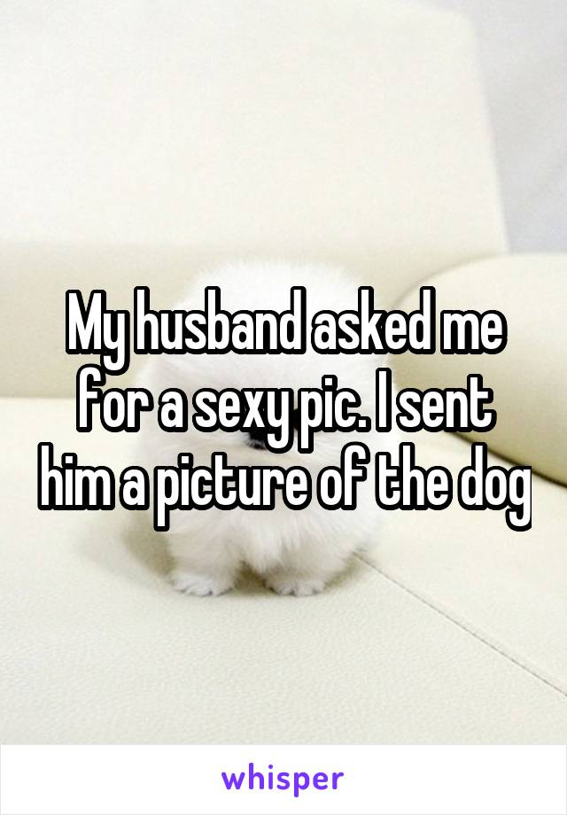 My husband asked me for a sexy pic. I sent him a picture of the dog