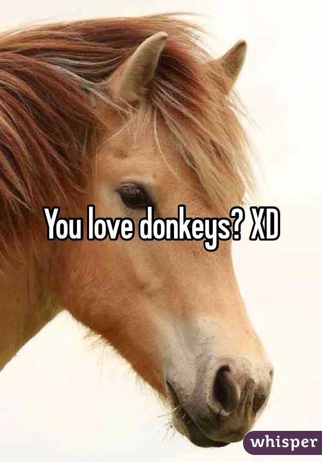 You love donkeys? XD
