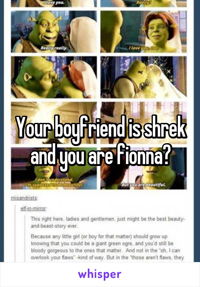 Your boyfriend is shrek and you are fionna?
