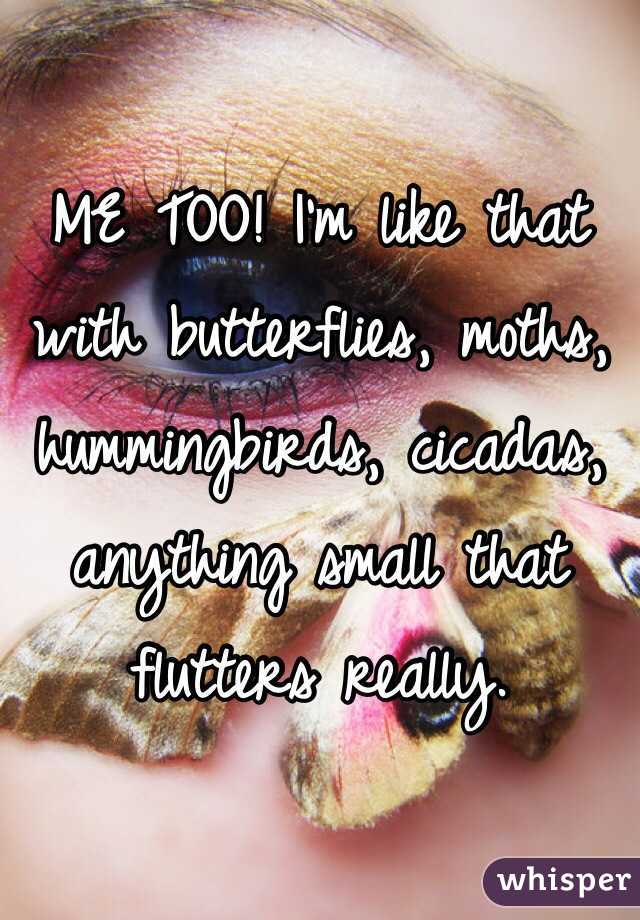 ME TOO! I'm like that with butterflies, moths, hummingbirds, cicadas, anything small that flutters really. 