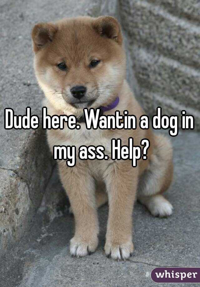 Dude here. Wantin a dog in my ass. Help?