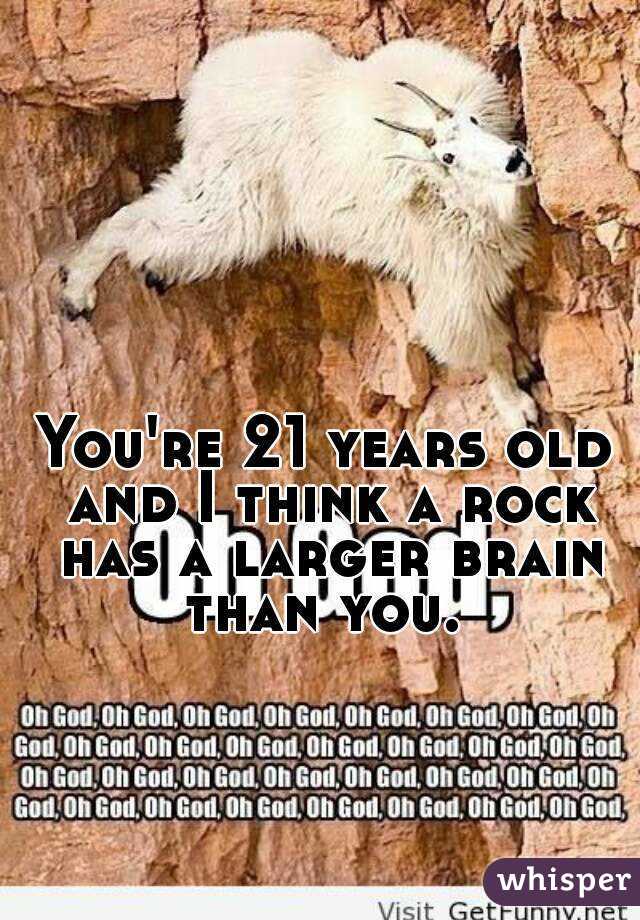 You're 21 years old and I think a rock has a larger brain than you. 