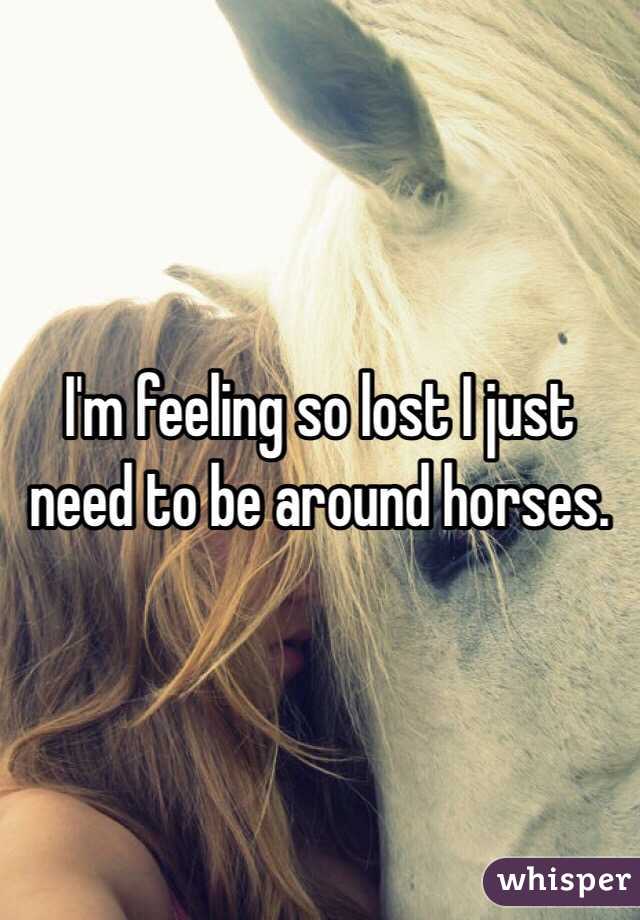 I'm feeling so lost I just need to be around horses.