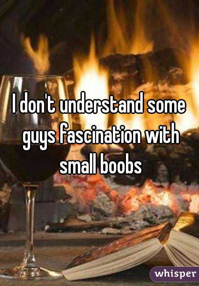 I don't understand some guys fascination with small boobs