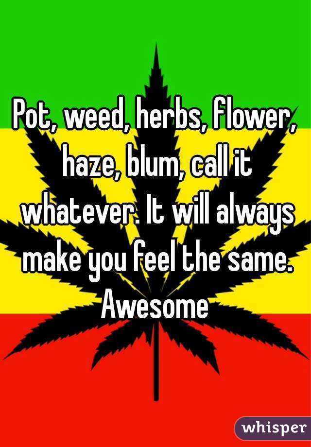 Pot, weed, herbs, flower, haze, blum, call it whatever. It will always make you feel the same. Awesome 