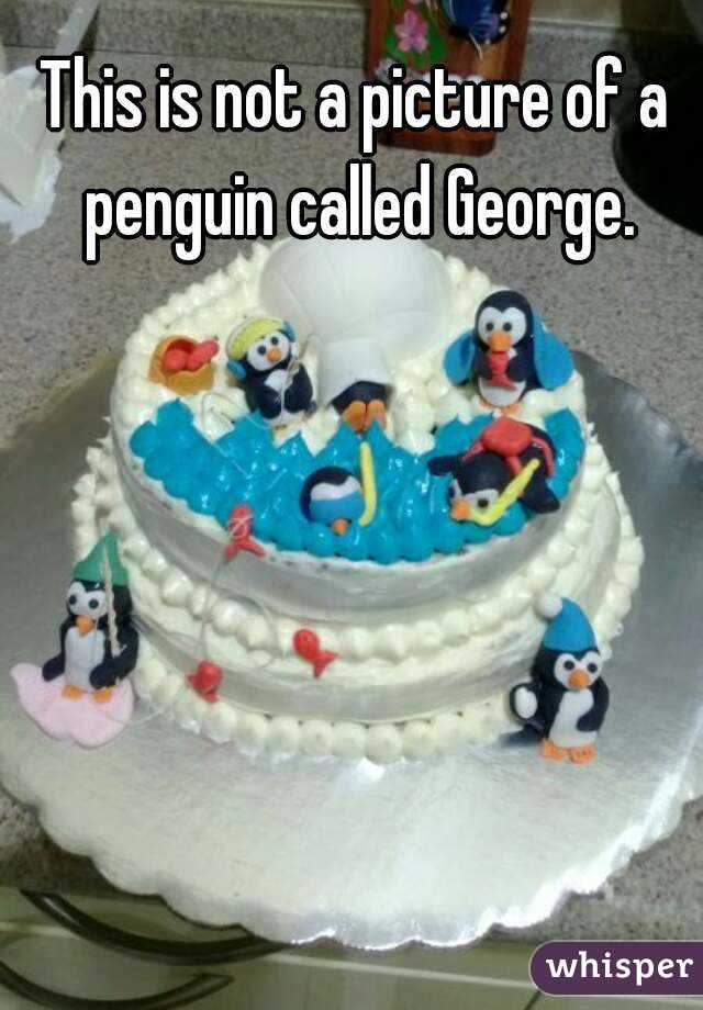 This is not a picture of a penguin called George.