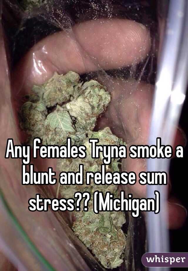 Any females Tryna smoke a blunt and release sum stress?? (Michigan)