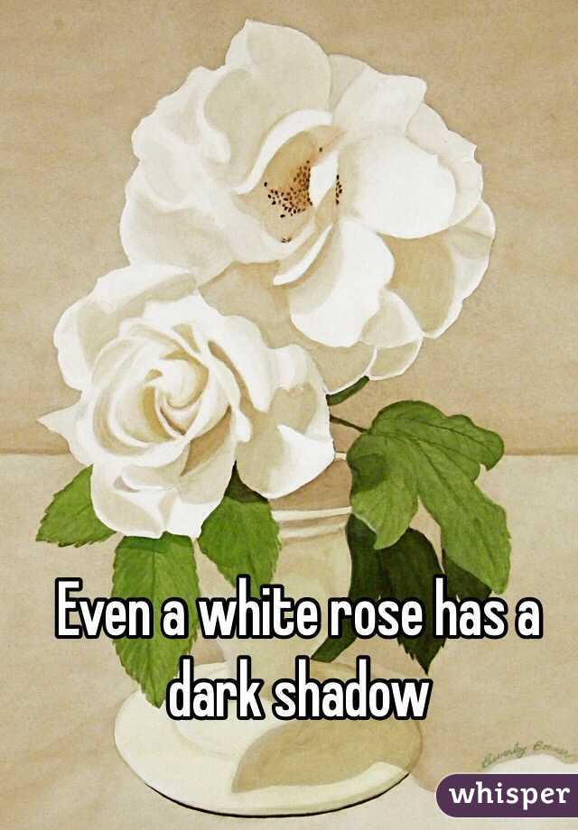 Even a white rose has a dark shadow 