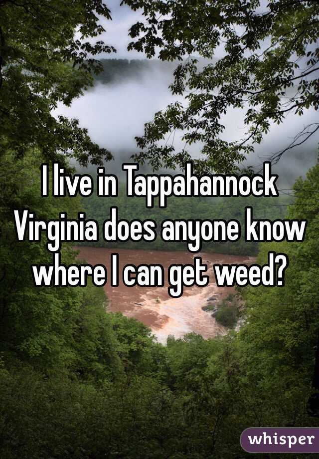 I live in Tappahannock Virginia does anyone know where I can get weed?