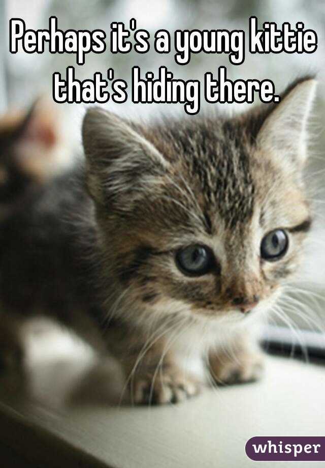 Perhaps it's a young kittie that's hiding there.