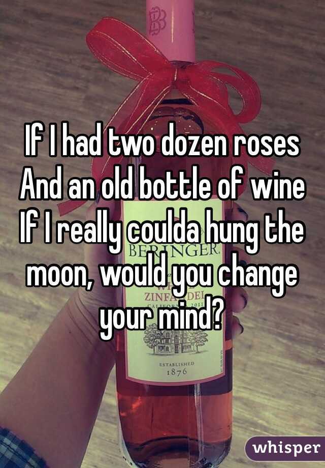 If I had two dozen roses 
And an old bottle of wine 
If I really coulda hung the moon, would you change your mind? 