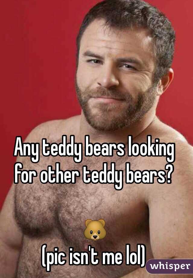 Any teddy bears looking for other teddy bears?

🐻
(pic isn't me lol)