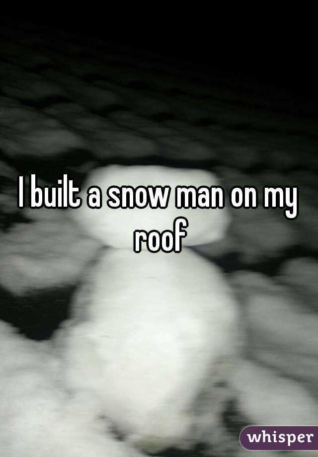 I built a snow man on my roof