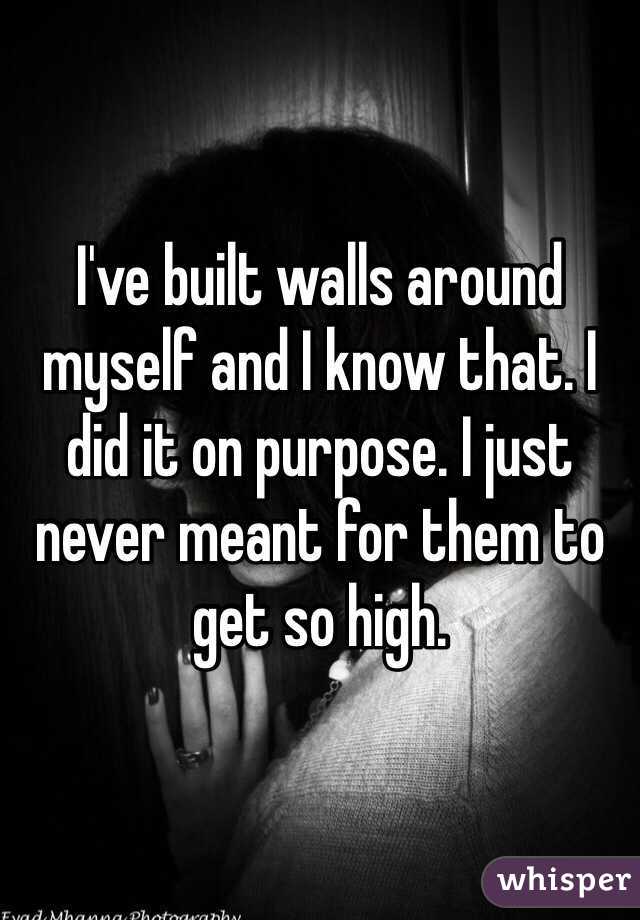 I've built walls around myself and I know that. I did it on purpose. I just never meant for them to get so high.