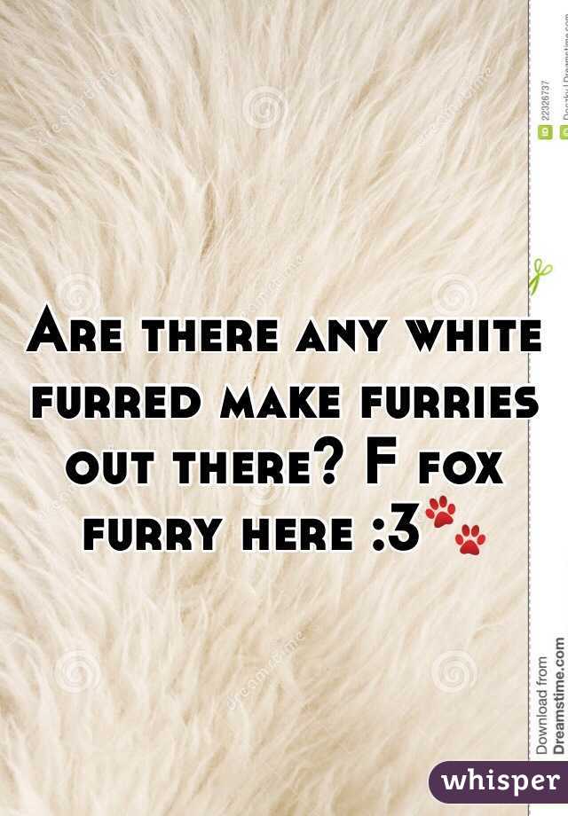 Are there any white furred make furries out there? F fox furry here :3🐾