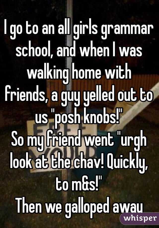 I go to an all girls grammar school, and when I was walking home with friends, a guy yelled out to us "posh knobs!"
So my friend went "urgh look at the chav! Quickly, to m&s!" 
Then we galloped away