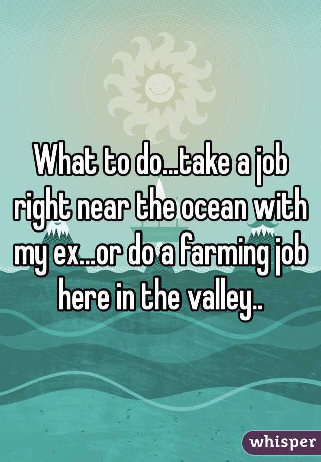What to do...take a job right near the ocean with my ex...or do a farming job here in the valley..