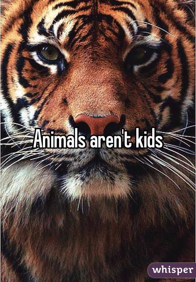Animals aren't kids 