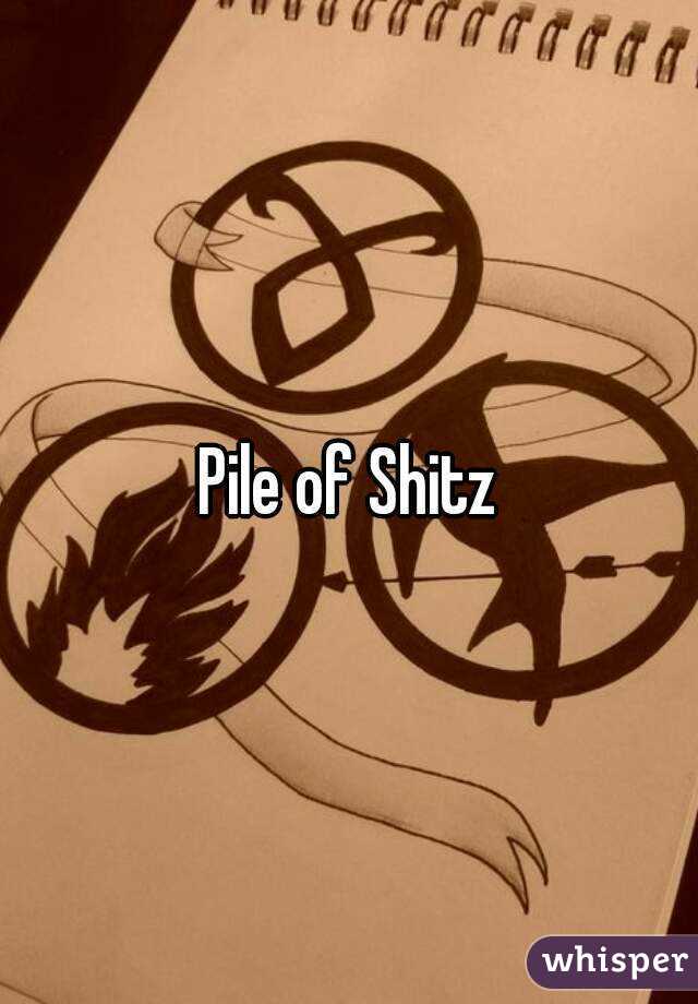 Pile of Shitz