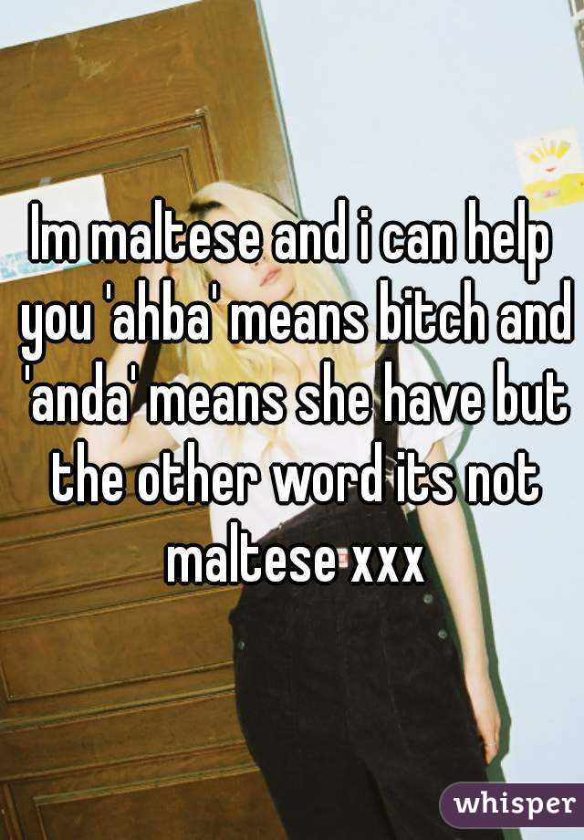 Im maltese and i can help you 'ahba' means bitch and 'anda' means she have but the other word its not maltese xxx