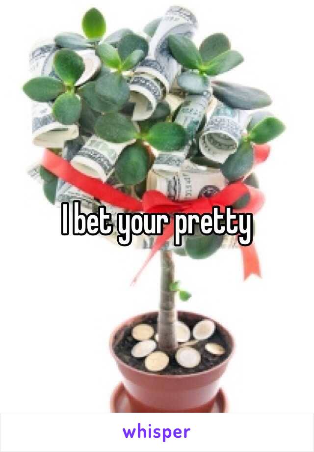 I bet your pretty