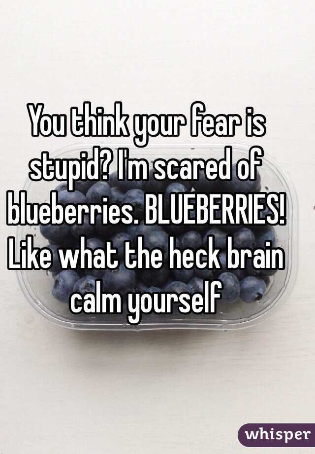 You think your fear is stupid? I'm scared of blueberries. BLUEBERRIES! Like what the heck brain calm yourself 