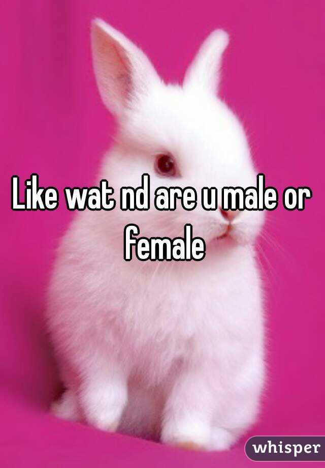 Like wat nd are u male or female