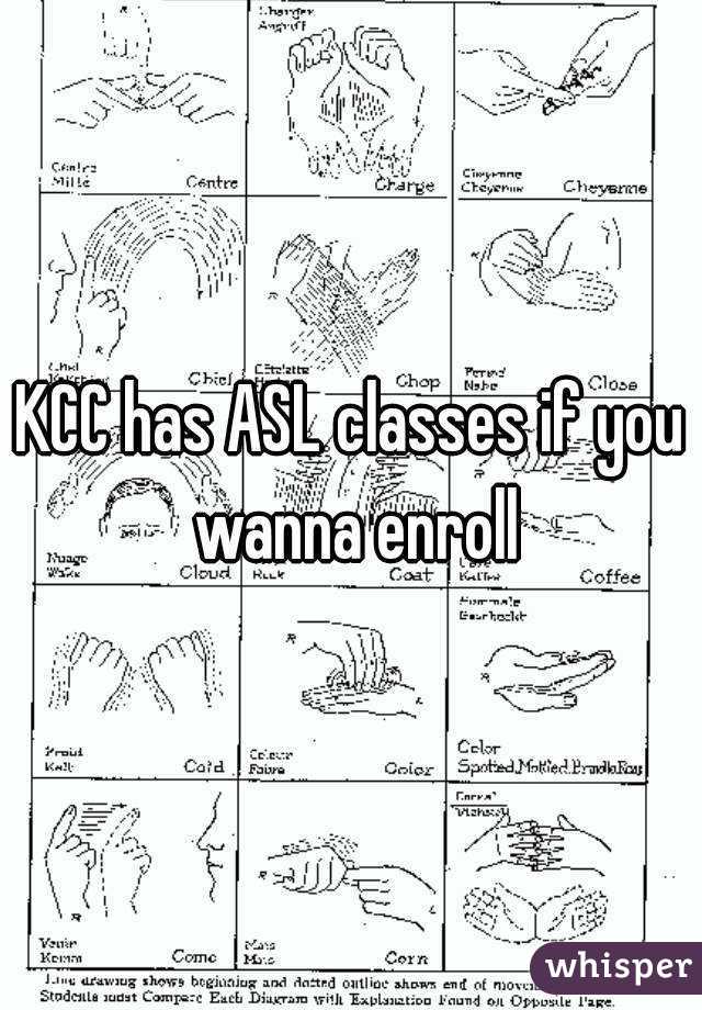 KCC has ASL classes if you wanna enroll