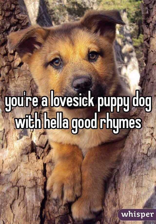 you're a lovesick puppy dog with hella good rhymes 