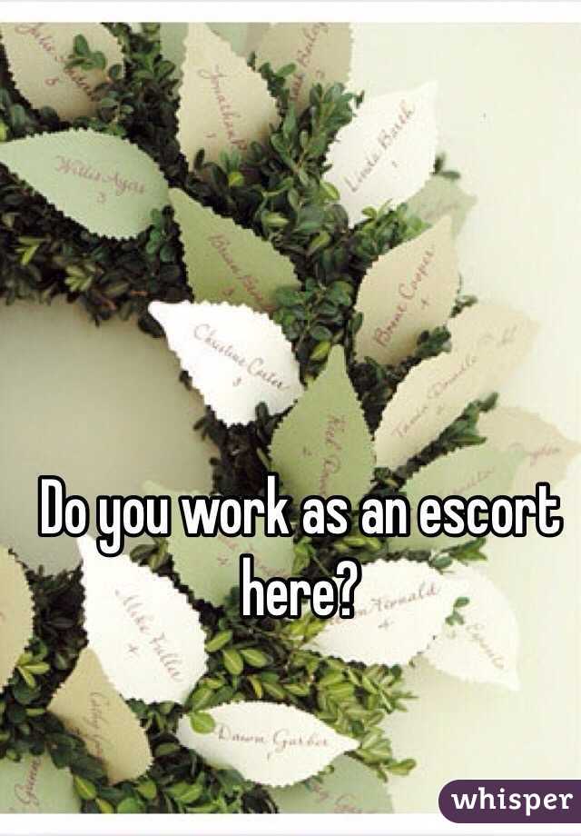 Do you work as an escort  here? 