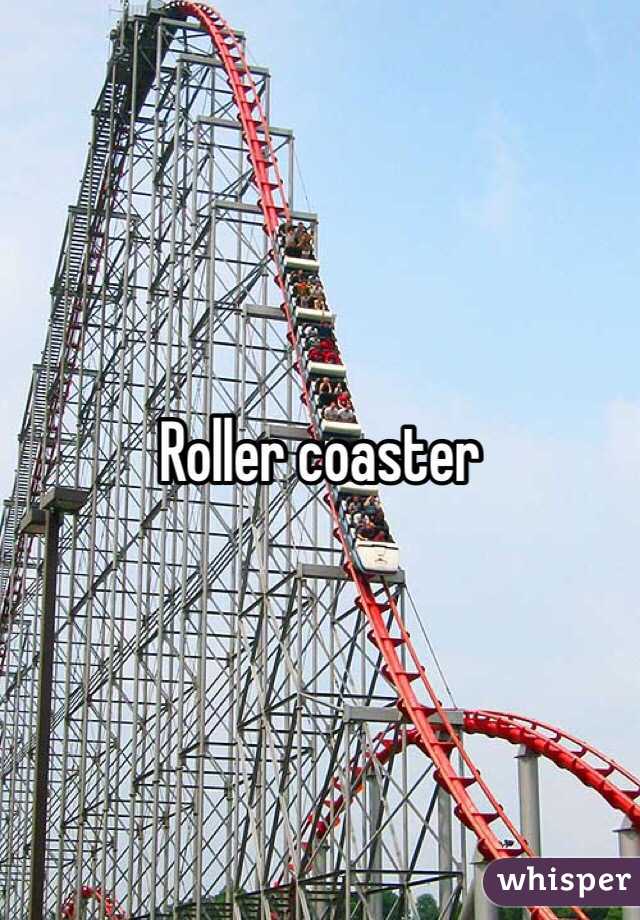 Roller coaster  