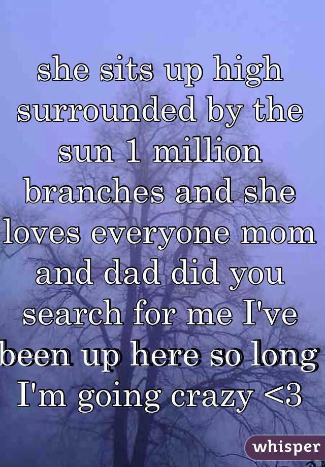 she sits up high surrounded by the sun 1 million branches and she loves everyone mom and dad did you search for me I've been up here so long I'm going crazy <3
