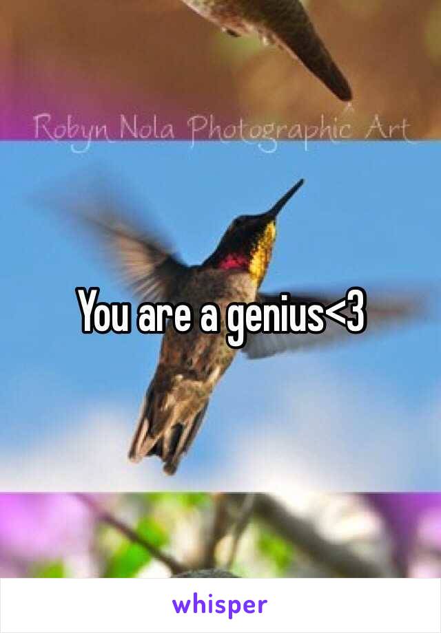 You are a genius<3
