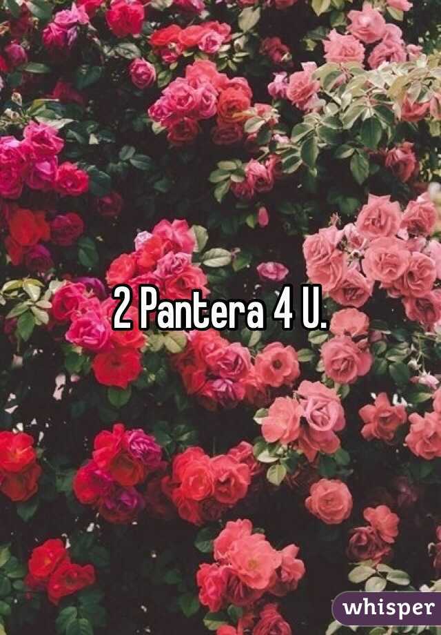 2 Pantera 4 U. 