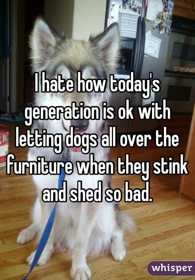 I hate how today's generation is ok with letting dogs all over the furniture when they stink and shed so bad. 