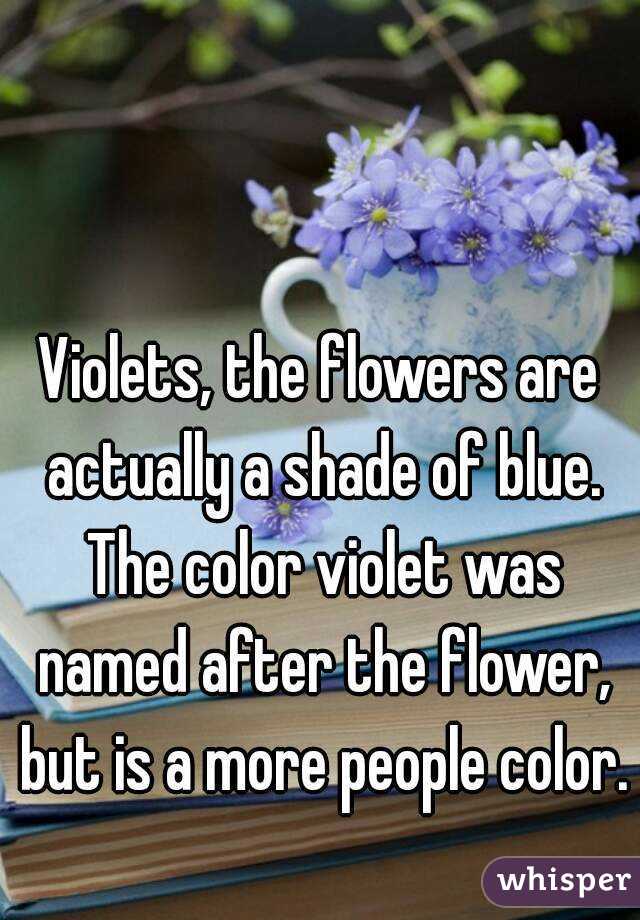Violets, the flowers are actually a shade of blue. The color violet was named after the flower, but is a more people color. 