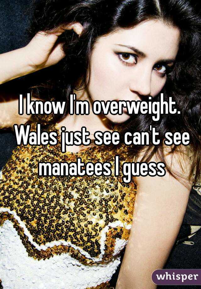 I know I'm overweight. Wales just see can't see manatees I guess