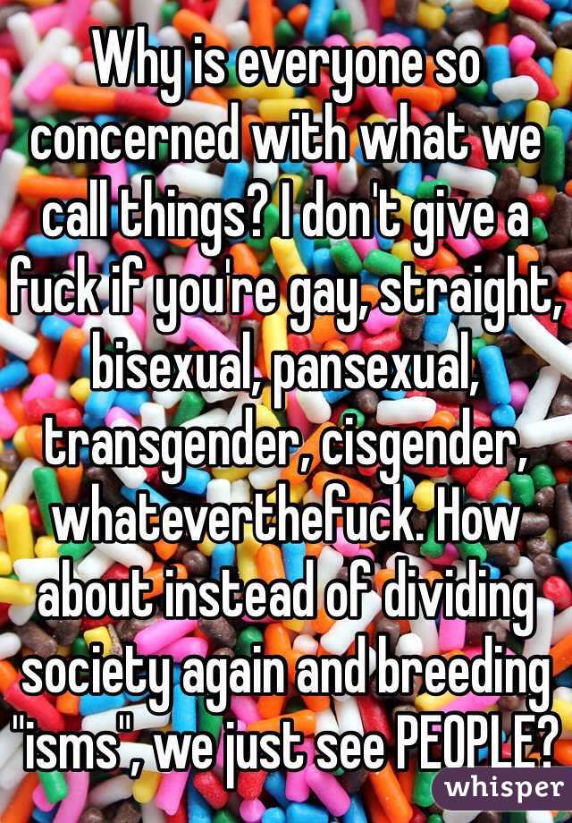 Why is everyone so concerned with what we call things? I don't give a fuck if you're gay, straight, bisexual, pansexual, transgender, cisgender, whateverthefuck. How about instead of dividing society again and breeding "isms", we just see PEOPLE?