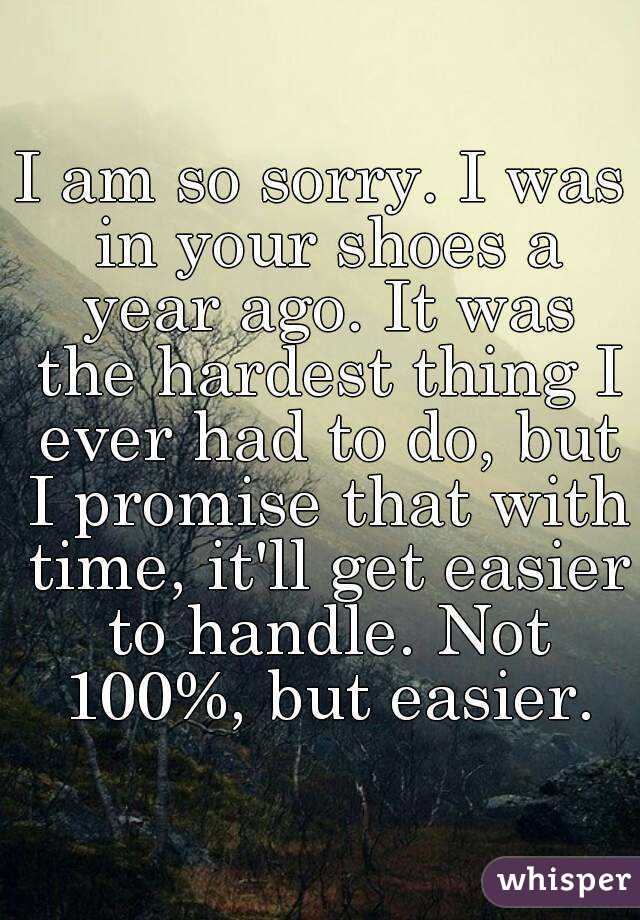 I am so sorry. I was in your shoes a year ago. It was the hardest thing I ever had to do, but I promise that with time, it'll get easier to handle. Not 100%, but easier.