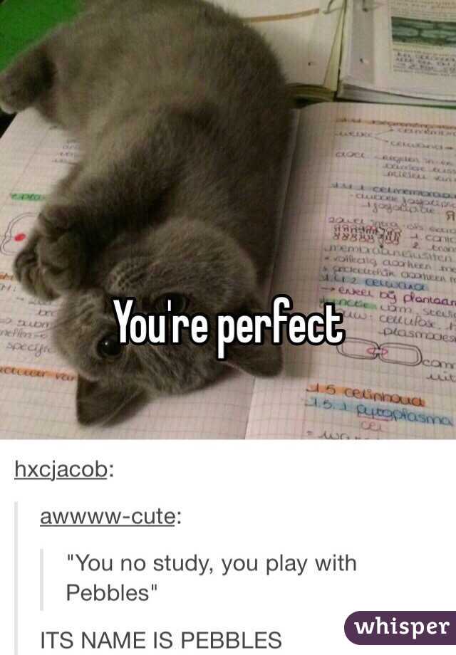 You're perfect 