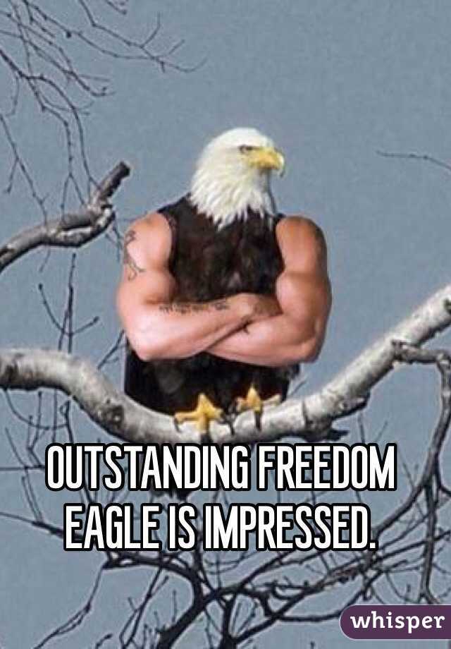 OUTSTANDING FREEDOM EAGLE IS IMPRESSED.