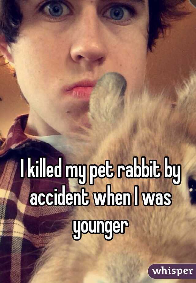 I killed <b>my pet rabbit</b> by accident when I was younger - 050dcdb7bcd2a961527320366586894ae5998c-wm