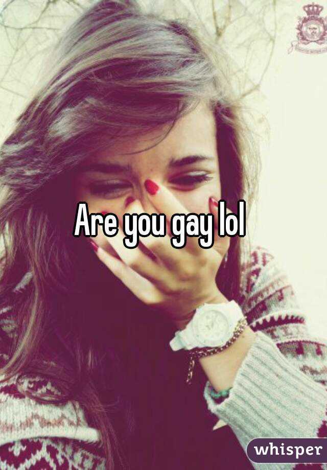 Are you gay lol 